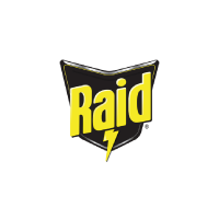 raid